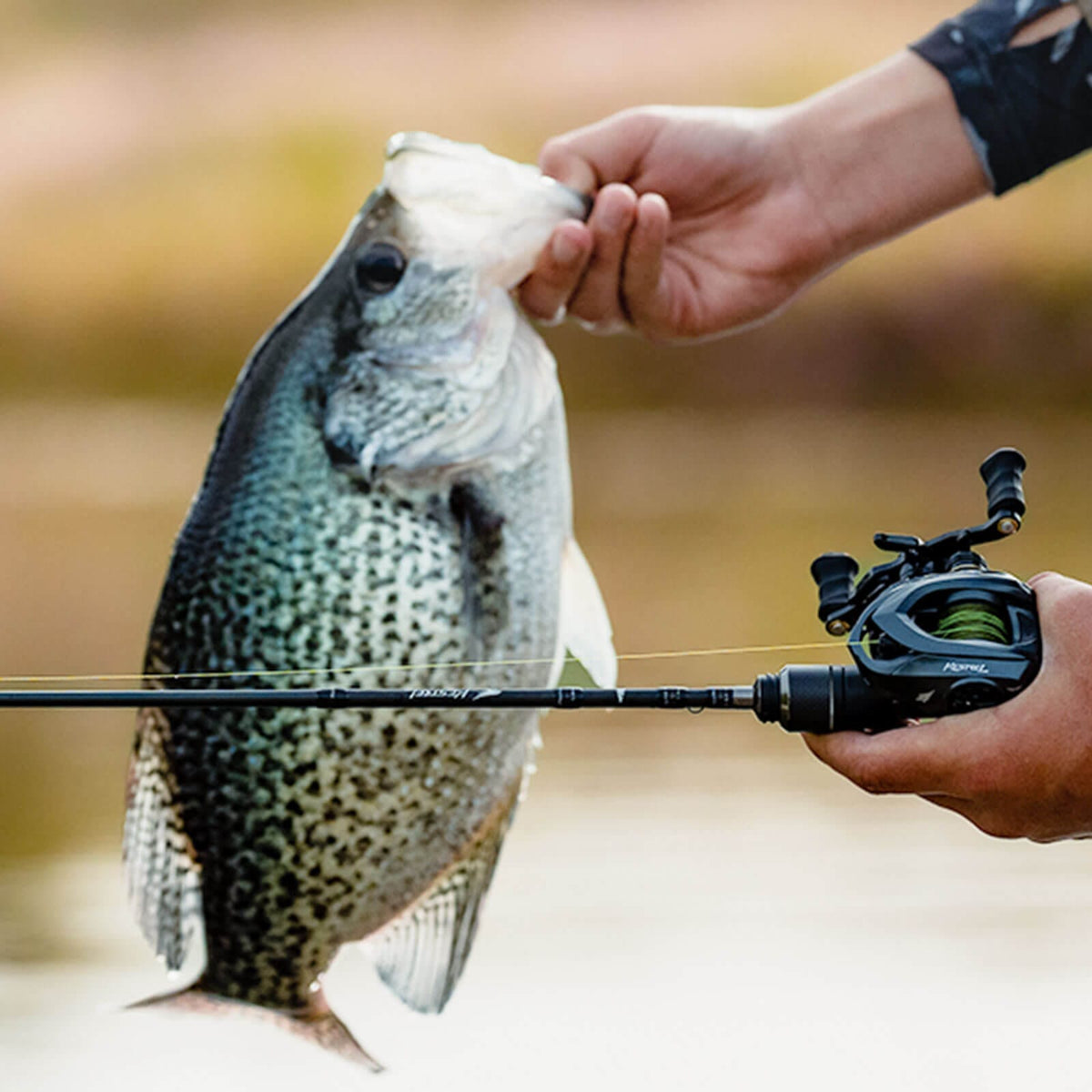 Kastking Value | Kestrel Finesse Casting Rod