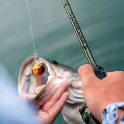 Kastking Essential | Spartacus II Twin-Tip Casting Rods